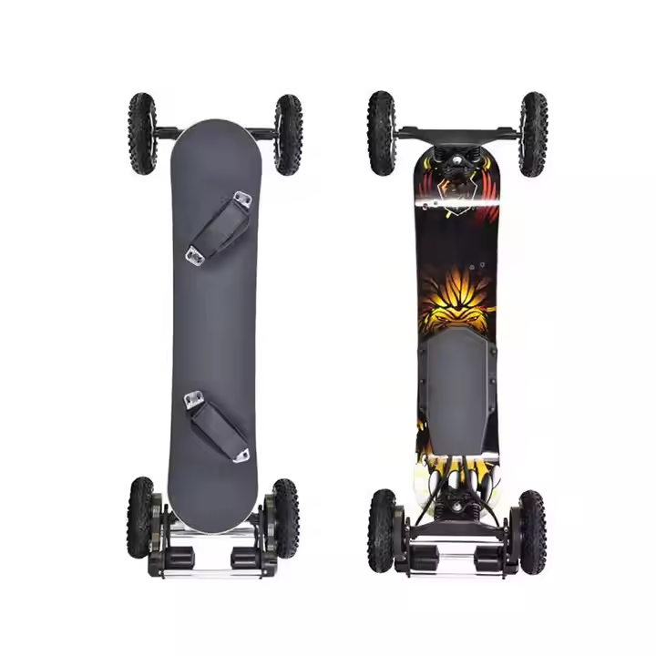 Direct Drive Electric-Longboard Mountain Skateboard